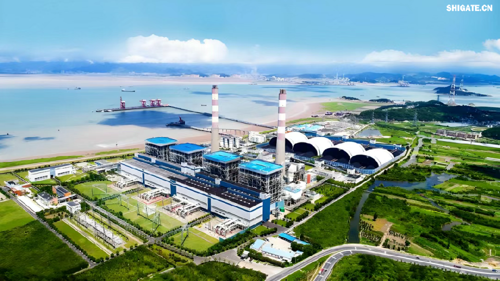 鍋爐汽包是火力發電關鍵設備，其核心材料的質量直接影響到整個發電機組的安全性和效率。面對現場設備受限、工藝復雜、生產交貨期緊張等挑戰，舞鋼優化生產流程，創新生產工藝，提供的高韌特厚板具有較高的純凈度、致密度、組織均勻性及較高的韌性、良好的中高溫性能，能夠滿足650℃高效超超臨界燃煤發電機組在高溫高壓環境下的運行要求，并提前15天高質量交付，滿足了客戶急需。   華能玉環電廠四期項目擬建設1臺100萬千瓦級650攝氏度高效超超臨界一次再熱燃煤發電機組，機組設計主汽壓力達到35兆帕，主蒸汽和再熱蒸汽溫度均達到650攝氏度，是目前世界范圍內燃煤機組最高參數，將大幅提高發電效率。與現有機組相比，650攝氏度等級高效超超臨界燃煤機組可提升發電效率約4個百分點，度電煤耗可降低約10%，每年可減少二氧化碳排放量約45萬噸。  作為國家重大科技攻關項目，該機組采用中國華能研發的我國具有自主知識產權的高溫合金新材料，實現了關鍵高溫材料技術的完全自主可控，打破傳統燃煤發電的熱效率瓶頸，實現“用更少的煤發更多的電”。  項目建成后將大幅提升煤電清潔高效利用水平，同時推動國產裝備制造能力全面升級，為實現我國能源安全與“雙碳”目標提供重要支撐。